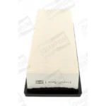 Air Filter CHAMPION CAF100859P